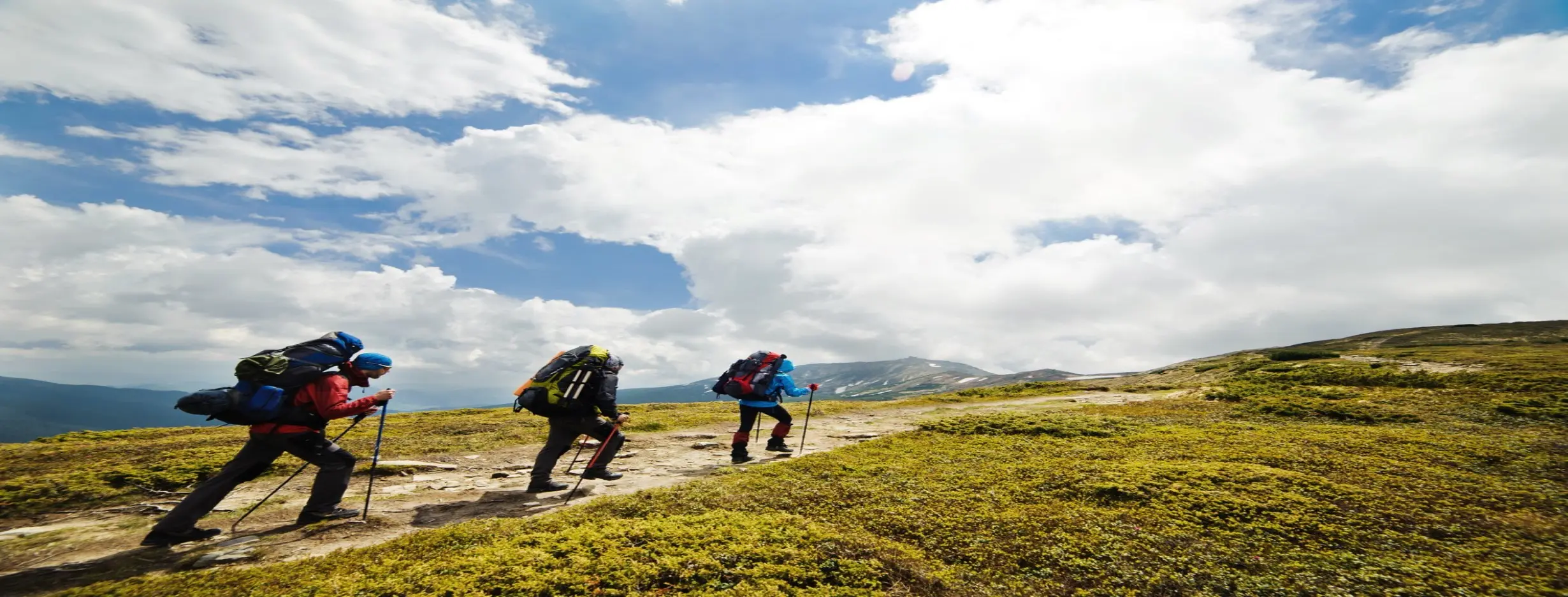 Image for Outdoor Trek